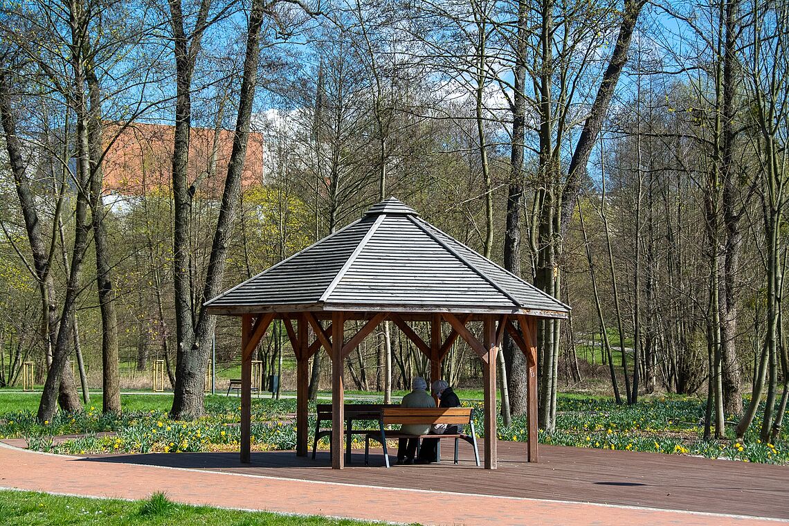 Kolejne udogodnienia dla mieszkańców. Park Centralny w Olsztynie z nowym chodnikiem park Olsztyn, Wiadomości