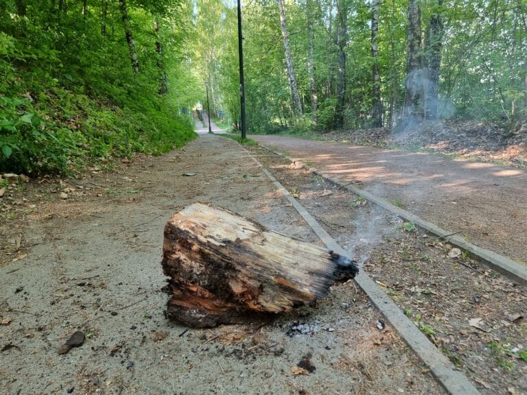 Tajemnicza śmierć przy Plaży Miejskiej. Nowe informacje ws. spalonych zwłok