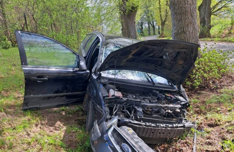 Zderzenie z drzewem: kierująca oddaliła się z miejsca zdarzenia