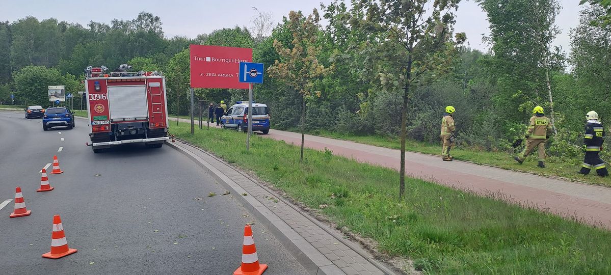 Nietypowa interwencja straży pożarnej na ul. Sielskiej przy Plaży Miejskiej straż pożarna Lidzbark Warmiński, Wiadomości, zShowcase