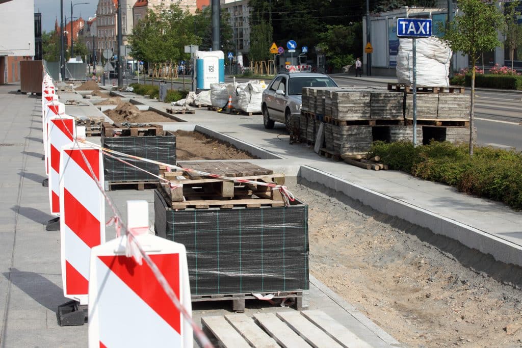 Olsztyn znów się zazielenia: nowe nasadzenia w miejscu betonowych płyt przyroda Olsztyn, Wiadomości, zShowcase