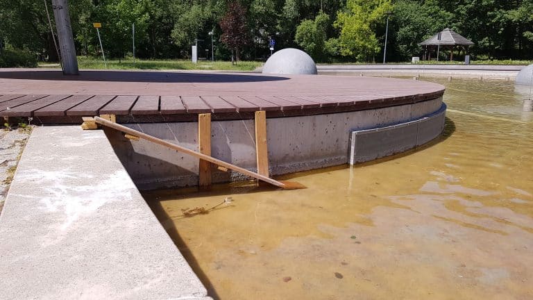 Miejscy urzędnicy pomogli kaczkom w nietypowy spos&oacute;b