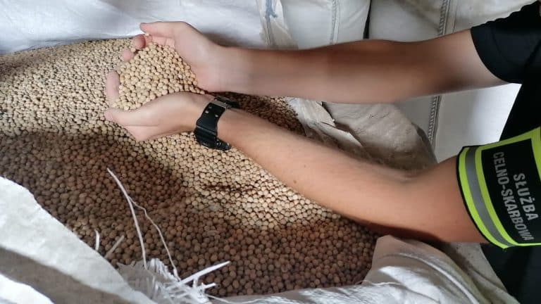 Czy importerzy zbóż oszukują państwo? Przeszukania 222 siedzib w całej Polsce