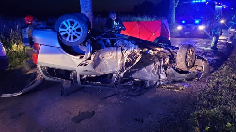Cud na drodze 530. Ratownicy przywrócili funkcje życiowe po tragicznym wypadku