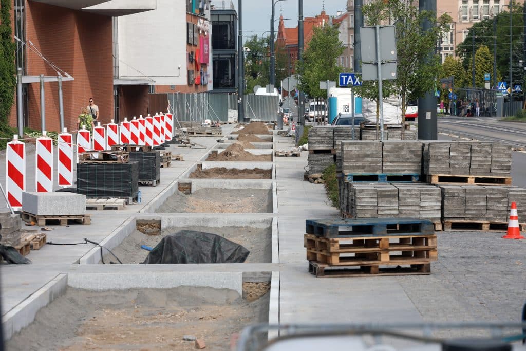 Olsztyn znów się zazielenia: nowe nasadzenia w miejscu betonowych płyt przyroda Olsztyn, Wiadomości, zShowcase