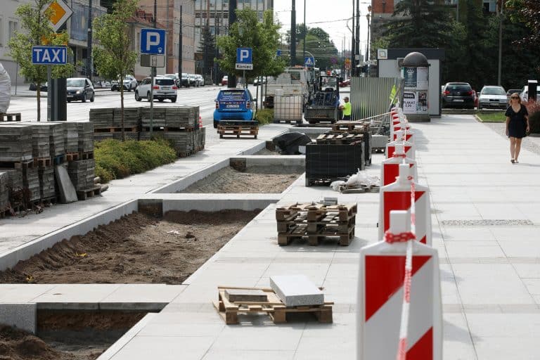 Olsztyn znów się zazielenia: nowe nasadzenia w miejscu betonowych płyt