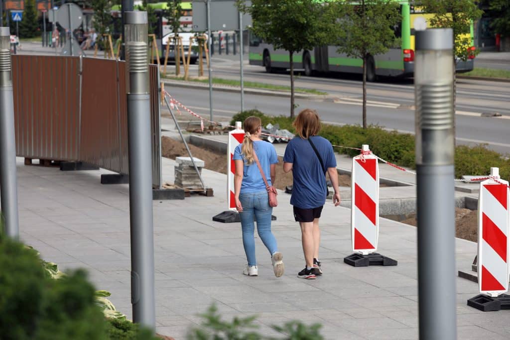 Olsztyn znów się zazielenia: nowe nasadzenia w miejscu betonowych płyt przyroda Olsztyn, Wiadomości, zShowcase