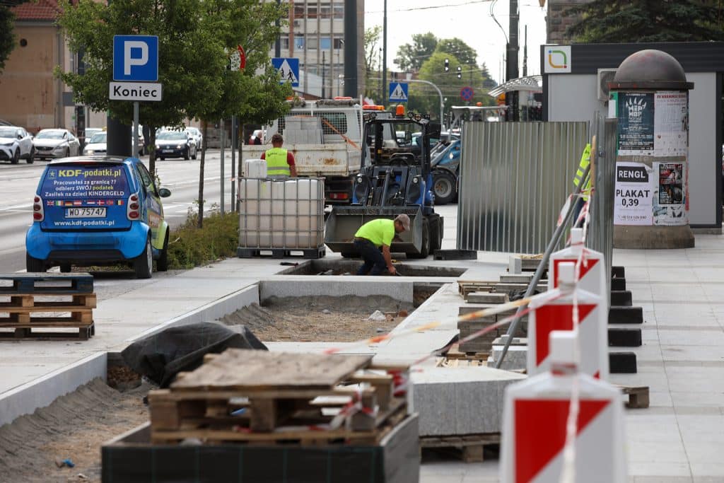 Olsztyn znów się zazielenia: nowe nasadzenia w miejscu betonowych płyt przyroda Olsztyn, Wiadomości, zShowcase