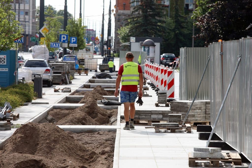 Olsztyn znów się zazielenia: nowe nasadzenia w miejscu betonowych płyt przyroda Olsztyn, Wiadomości, zShowcase