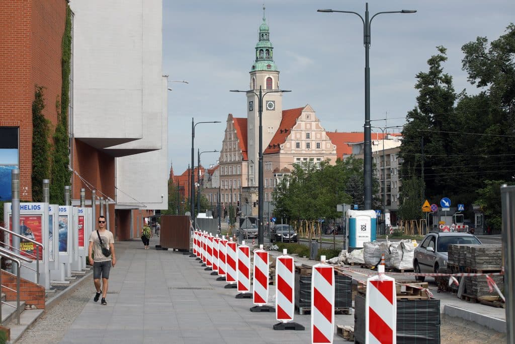 Olsztyn znów się zazielenia: nowe nasadzenia w miejscu betonowych płyt przyroda Olsztyn, Wiadomości, zShowcase