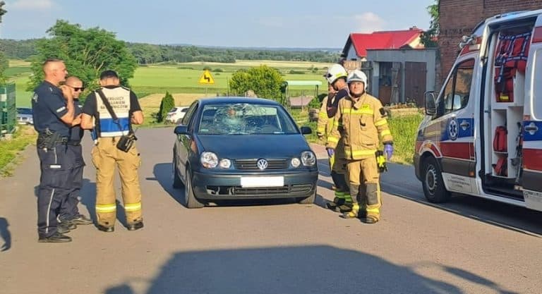 Tragiczne zaniedbanie? Śmiertelne potrącenie 93-letniego pieszego