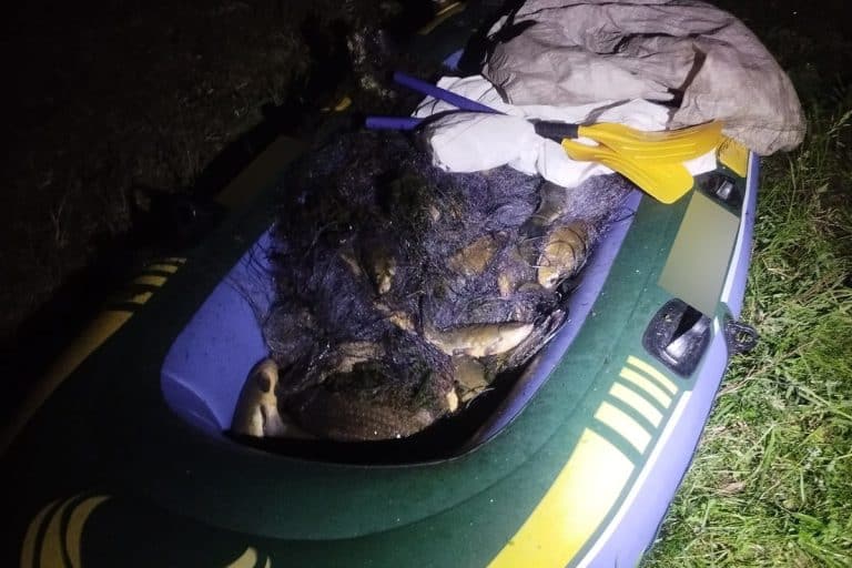 Kłusownicy z Wielbarka przyłapani na gorącym uczynku. Grozi im 2 lata więzienia.