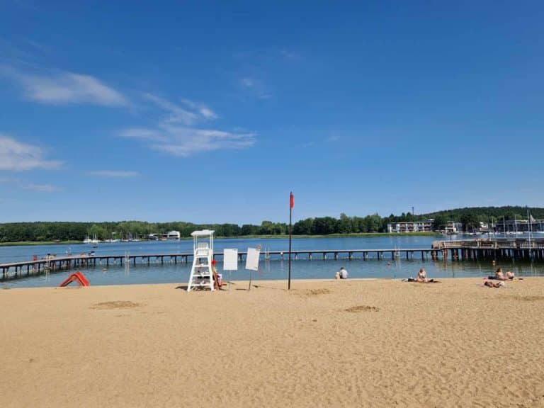 Czy sinice znów zepsują wakacje w Olsztynie? Oto co mówi Sanepid