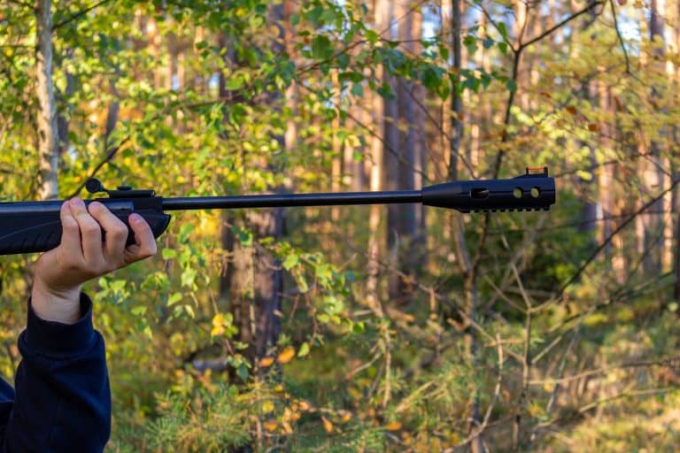 Nieznany sprawca oddał strzały w kierunku pary podróżującej samochodem