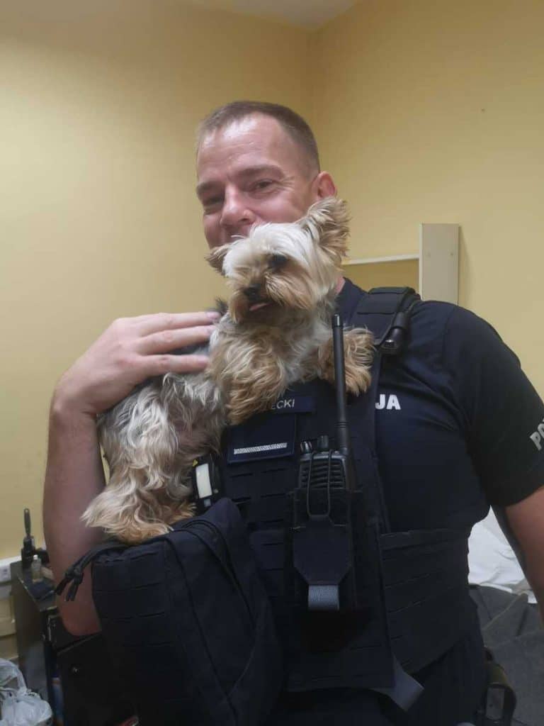 Policjant z Mrągowa przyjaźni się z porzuconym yorkiem: emocjonujące zdjęcia z interwencji