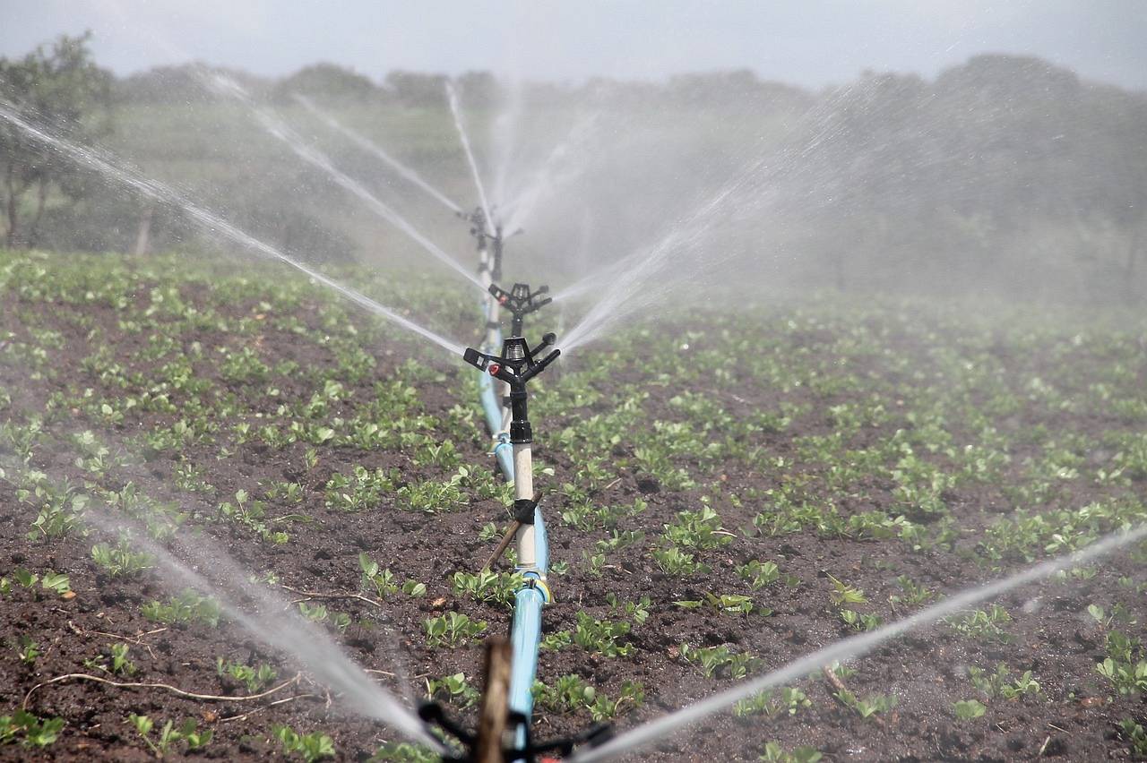 Ślad wodny w rolnictwie Olsztyn, Wiadomości, zShowcase