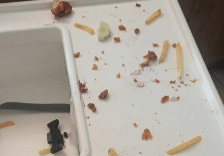 Sieć wstrząśnięta zdjęciem z podolsztyńskiej restauracji. Tak je rodzina z dziećmi