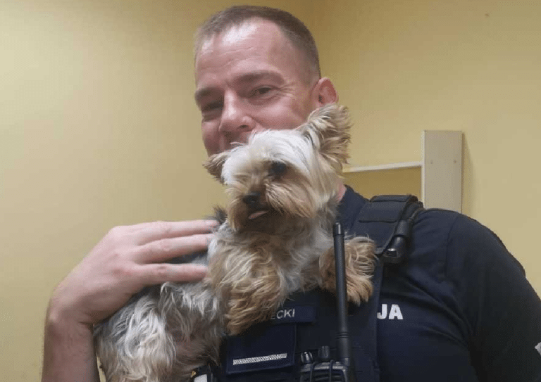 Dzięki mieszkańcom, policji i mediom społecznościowym uratowano zbłąkanego psa