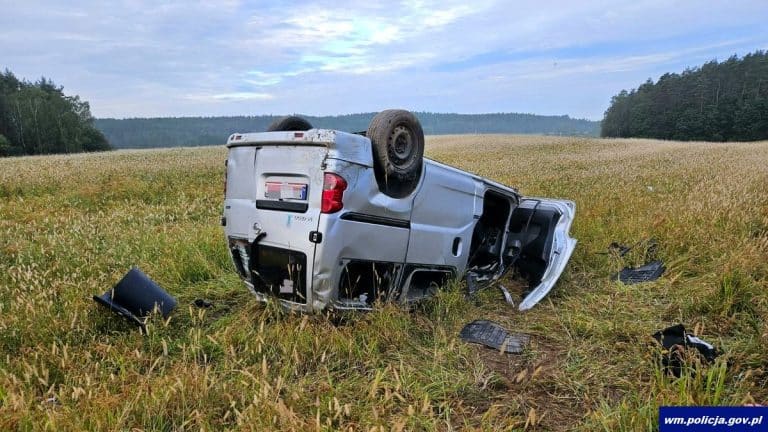 Uderzenie w drzewo, później dachowanie. Sarna mogła przyczyną groźnego wypadku?