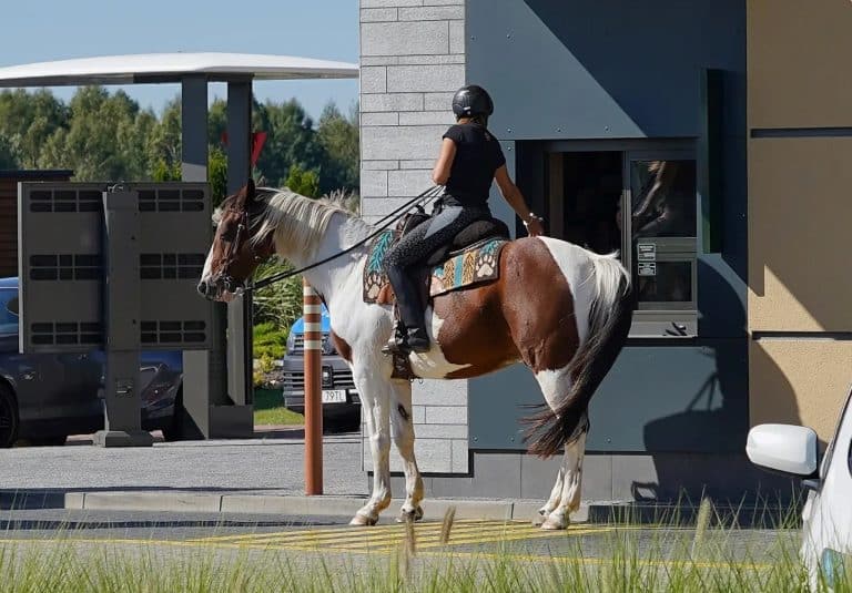 Niecodzienny widok w McDrive Olsztyn. Kobieta na koniu zamawia zestaw na wynos