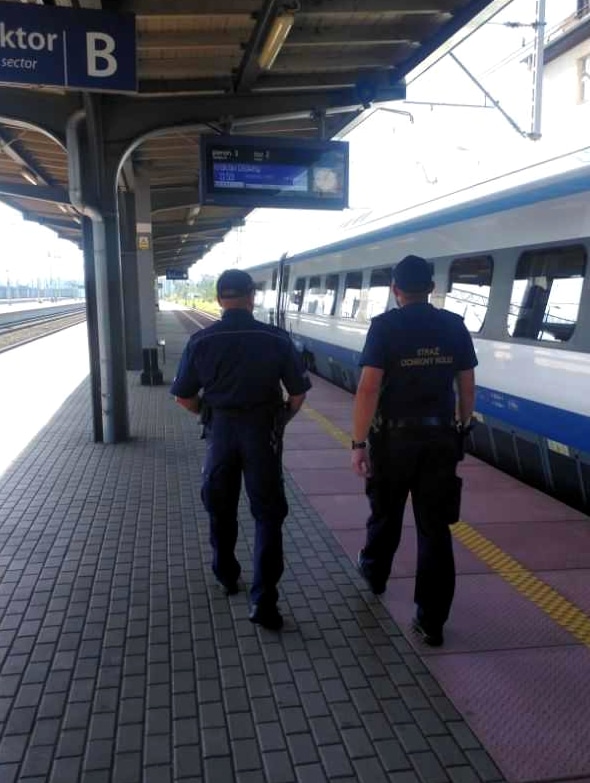 Rail Action Week (RAW): wspólna akcja policji i straży ochrony kolei na terenie Iławy Na sygnale Elbląg