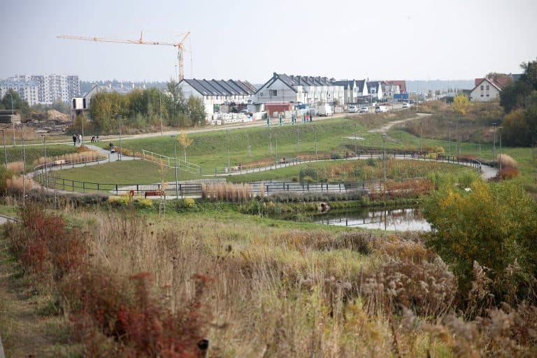 Sprawa zanieczyszczenia zbiornika w Parku Zacisze trafi do prokuratury?