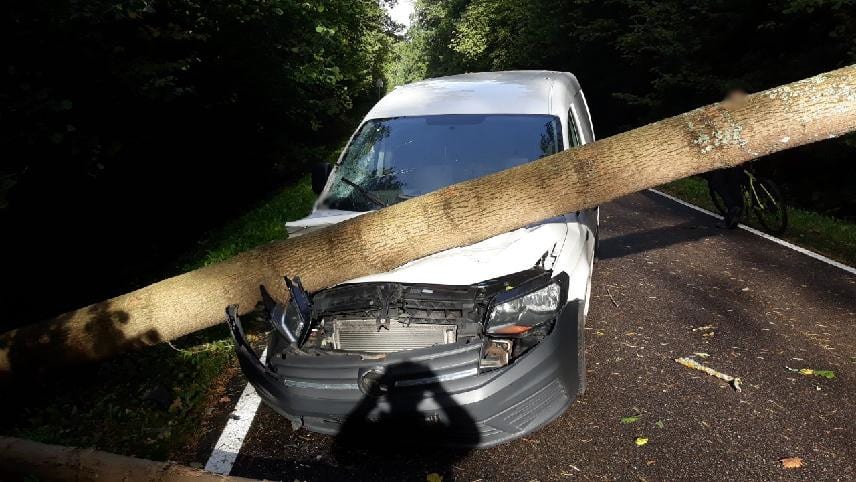 Weekend na drogach Olsztyna: wypadek motocyklistów, powalone drzewo i pijani kierowcy bez uprawnień Na sygnale Wiadomości, zShowcase