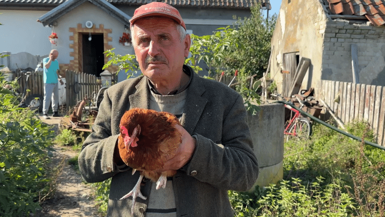 Zwierzęta w panice? Nieoczekiwany skutek wojskowych ćwiczeń lotniczych ROUTE 604