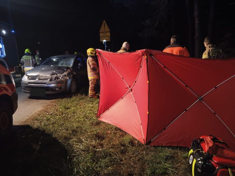 Nie żyje 19-latka. Sprawcy grozi co najmniej kara 5 lat pozbawienia wolności