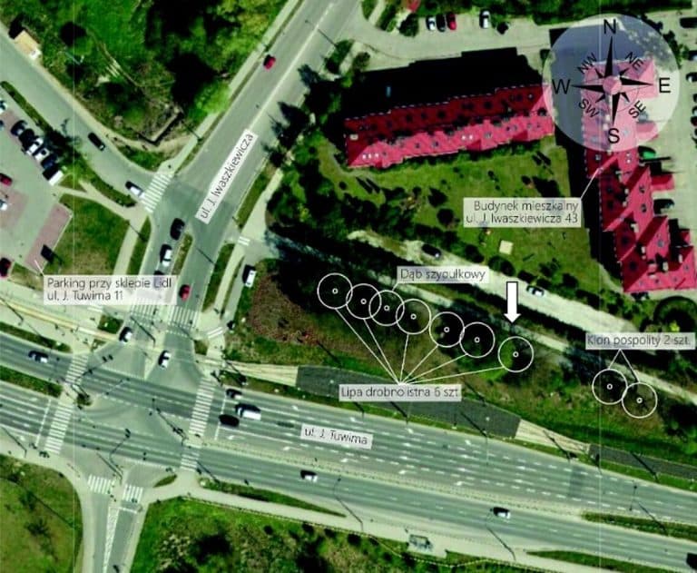 Nowe pomniki przyrody w sercu miasta &ndash; radni rozszerzyli listę