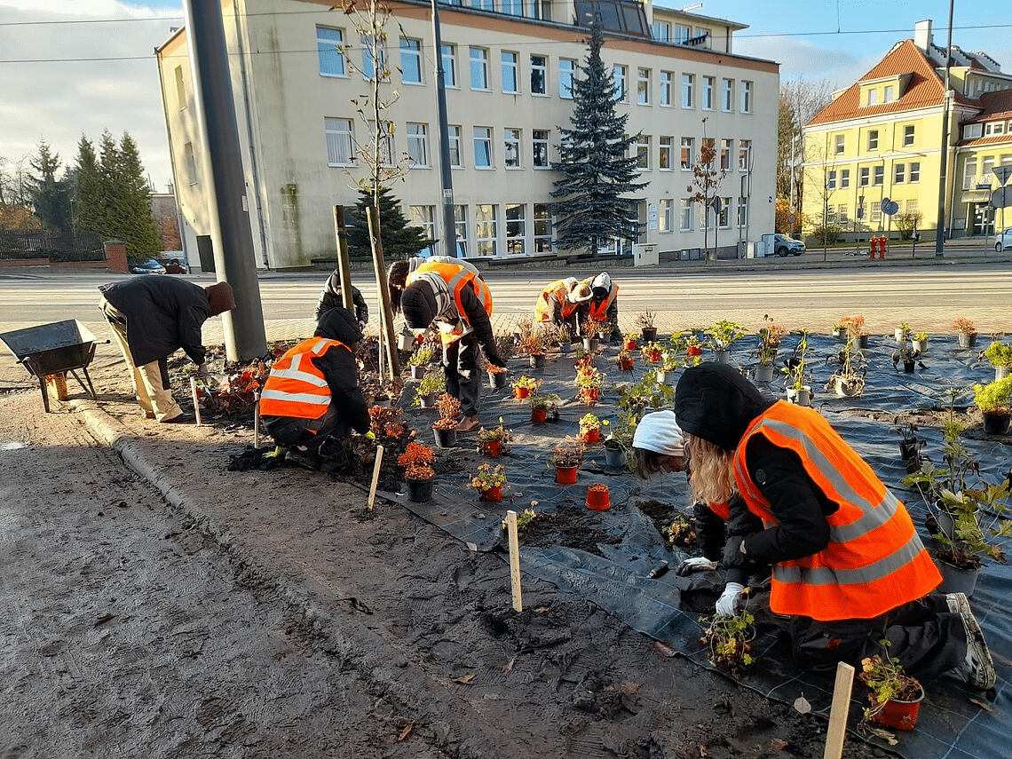 Olsztyńscy uczniowie projektują zieloną oazę w sercu miasta przyroda Wiadomości, zPAP