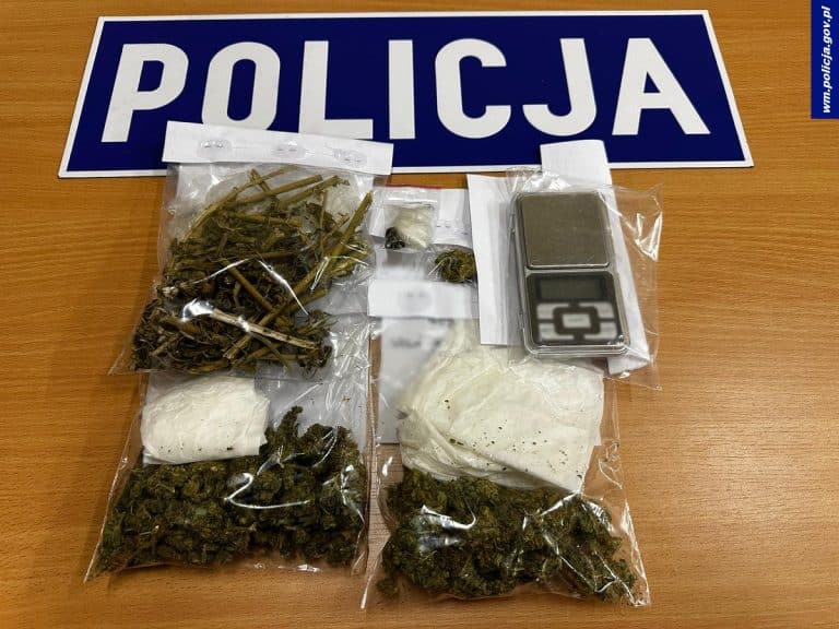 Narkotyki w olsztyńskim mieszkaniu: 23-latek z zarzutem posiadania nielegalnych substancji