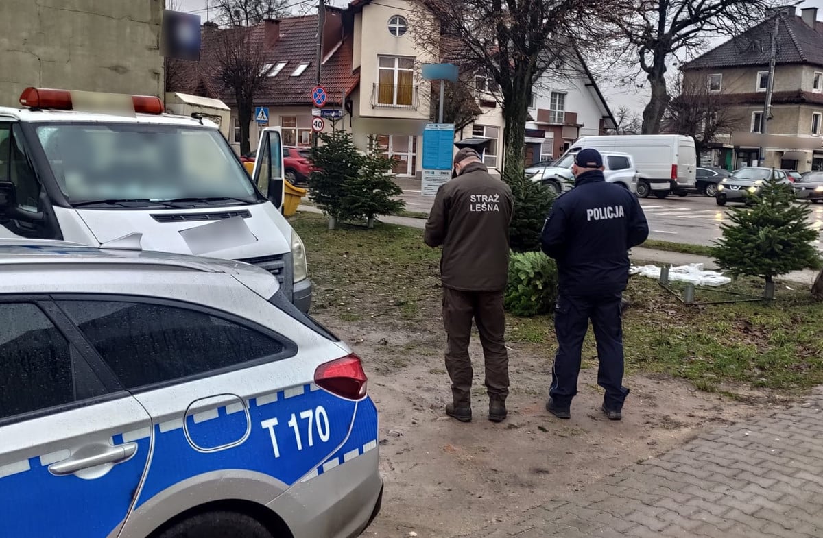 Chrońmy choinki przed świątecznymi kradzieżami: akcja policji i leśników w Olsztynku Na sygnale Olsztyn, Wiadomości, zShowcase