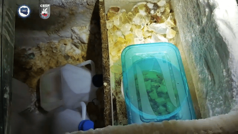 Zamknięto fabrykę narkotyk&oacute;w w warmińsko-mazurskim