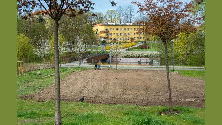 Olsztyn w obliczu suszy. Nowa strategia zatrzymywania wody