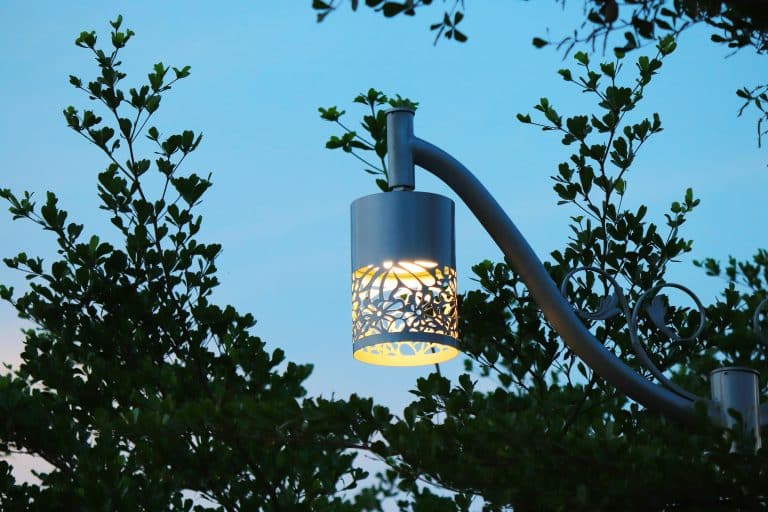 Oświetlenie ogrodu: wybierz najlepsze rozwiązania dla Twojej przestrzeni