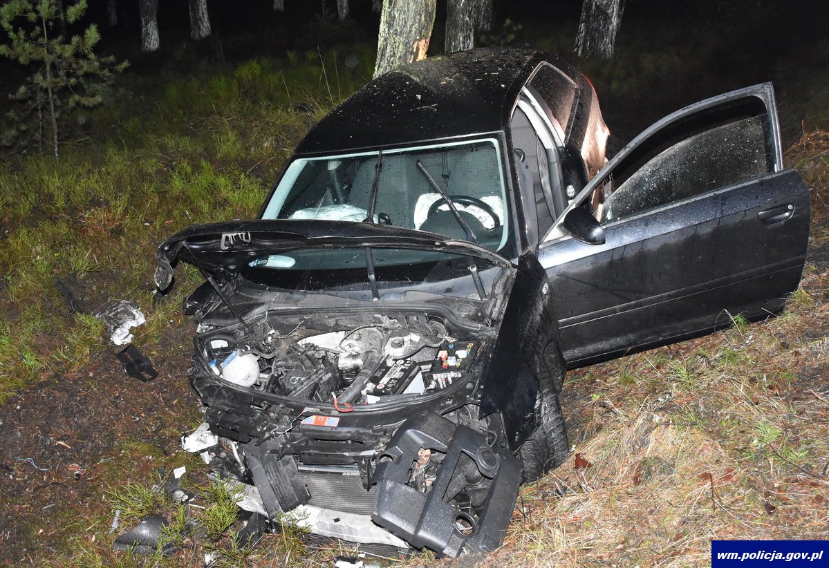 154 km/h i ucieczka życia przed policją. Z finałem na drzewie! Kronika policyjna Nidzica, Olsztyn, Wiadomości