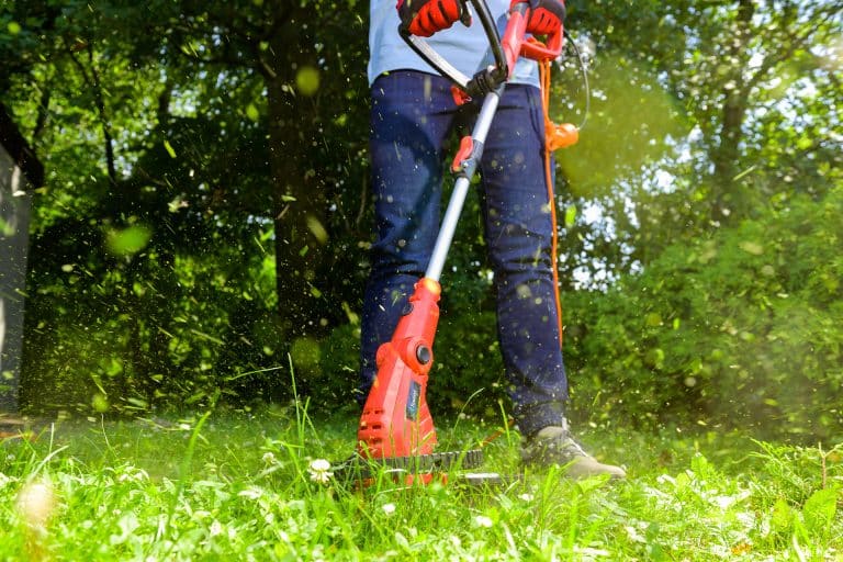 Jak wybrać podkaszarkę do Twojego ogrodu?