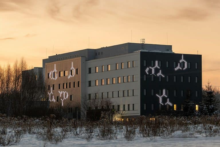 Insulina a zegar biologiczny: Czy będzie to klucz do rozszyfrowania otyłości?