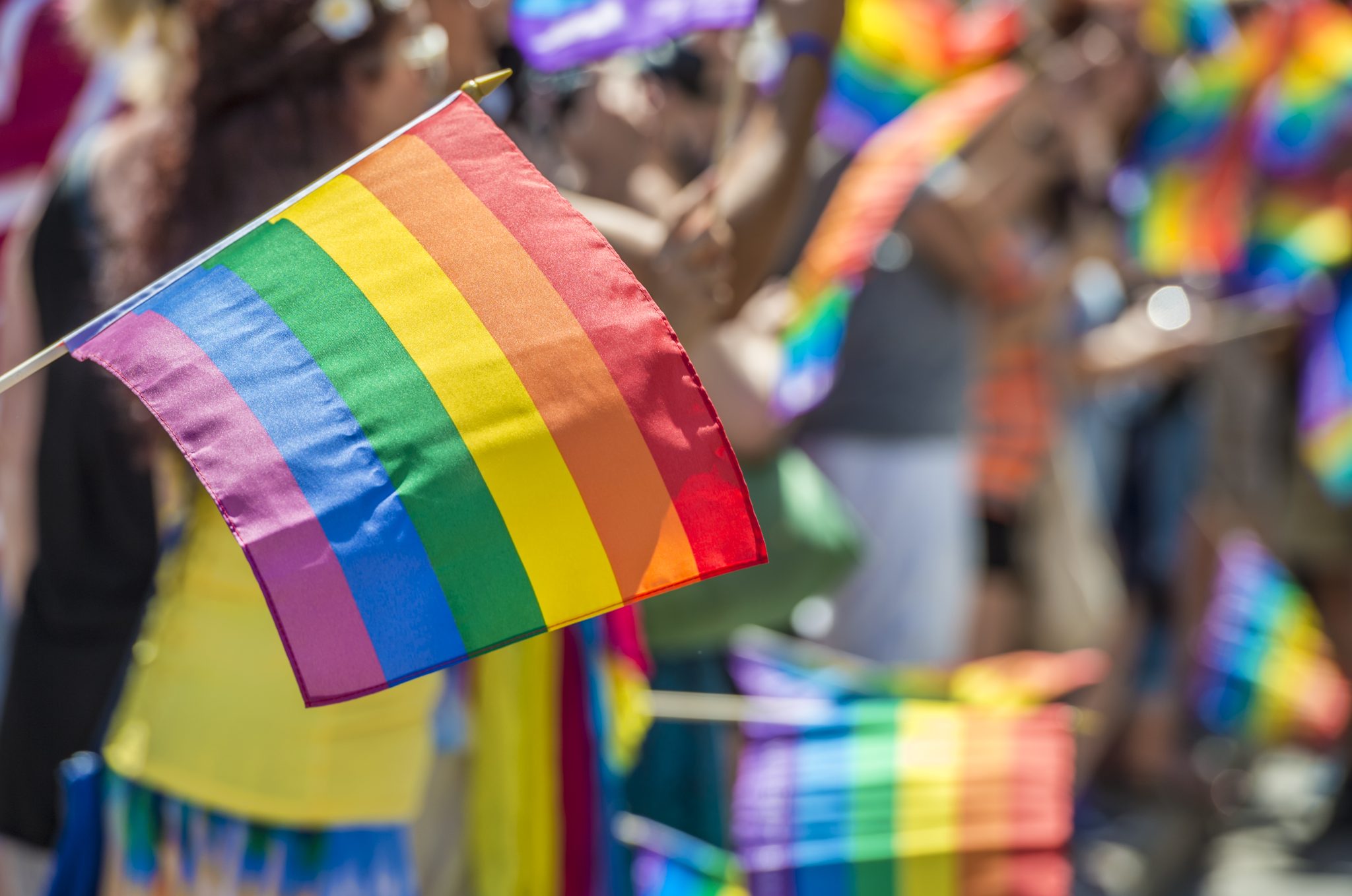 Mazury będą gospodarzem pierwszego w Polsce festiwalu LGBTQ+ Summer Camp impreza Wiadomości, zShowcase