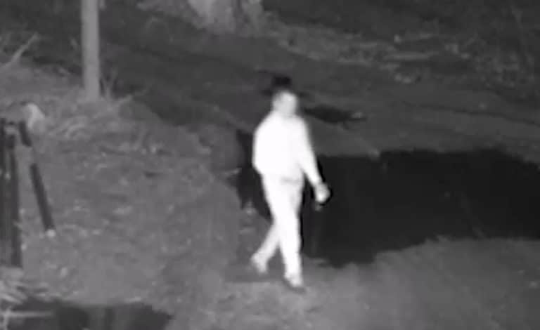 Angielski Romeo zatrzymany na polsko-rosyjskiej granicy