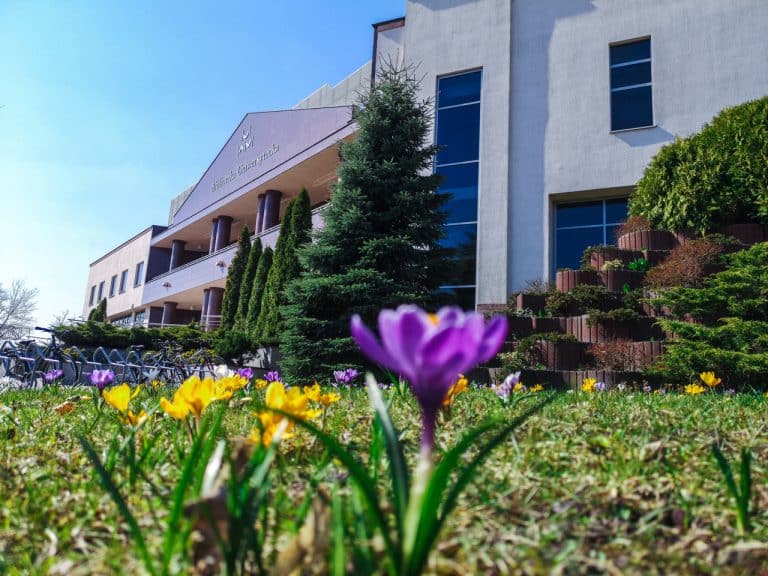 W światowej lidze. UWM wyraźnie awansuje w rankingu