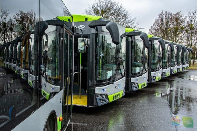 Olsztyn przebuduje pętle autobusowe. Powstaną także nowe