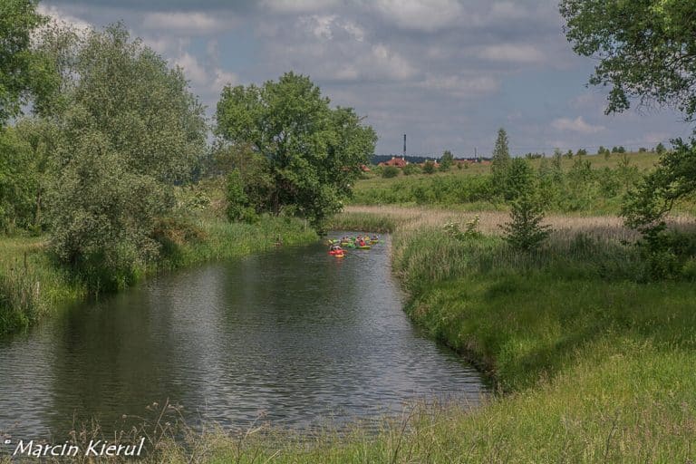 Wielka ekologiczna akcja sprzątania Łyny w Olsztynie zbliża się wielkimi krokami!