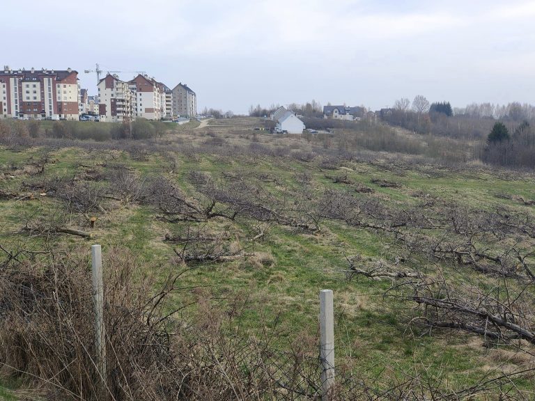 Sady jabłoni na Osiedlu Generał&oacute;w zostały wycięte