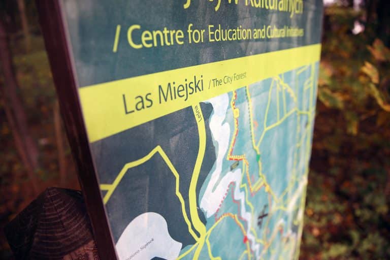 Olsztyn chlubi się największym miejskim lasem w Europie