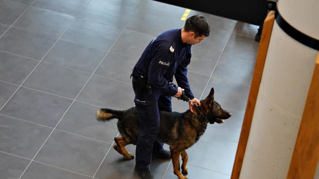 Na lotnisku w Szymanach psy służbowe doskonaliły swoje umiejętności lotnisko Szczytno, Wiadomości