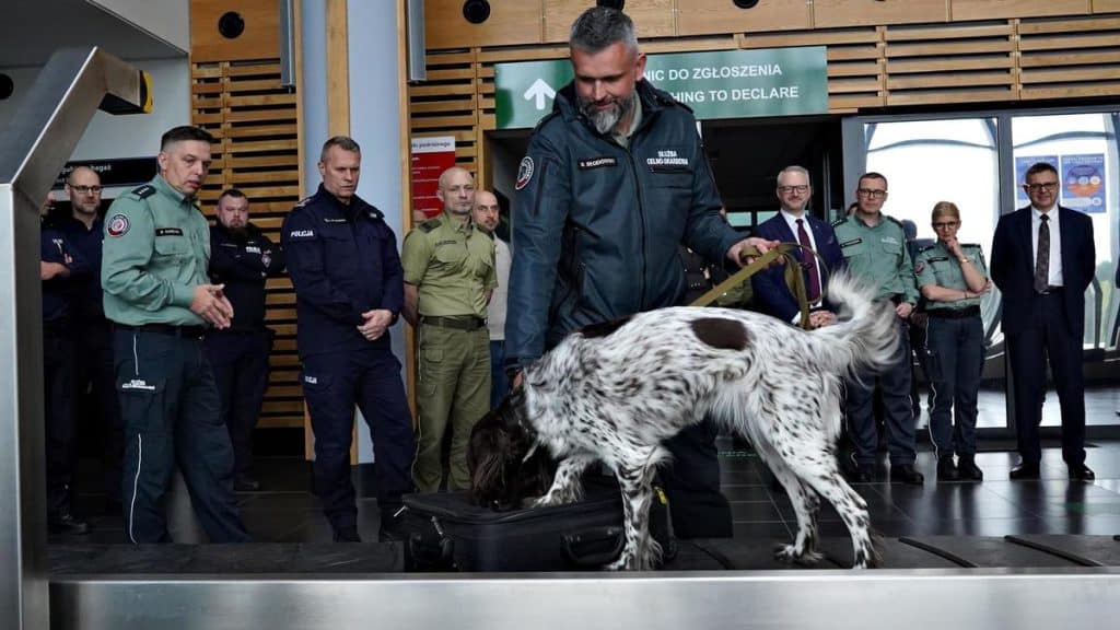 Na lotnisku w Szymanach psy służbowe doskonaliły swoje umiejętności lotnisko Szczytno, Wiadomości