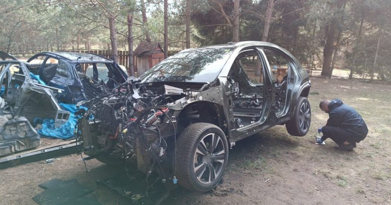 W mazurskiej dziupli kończyły luksusowe auta kradzione w Niemczech