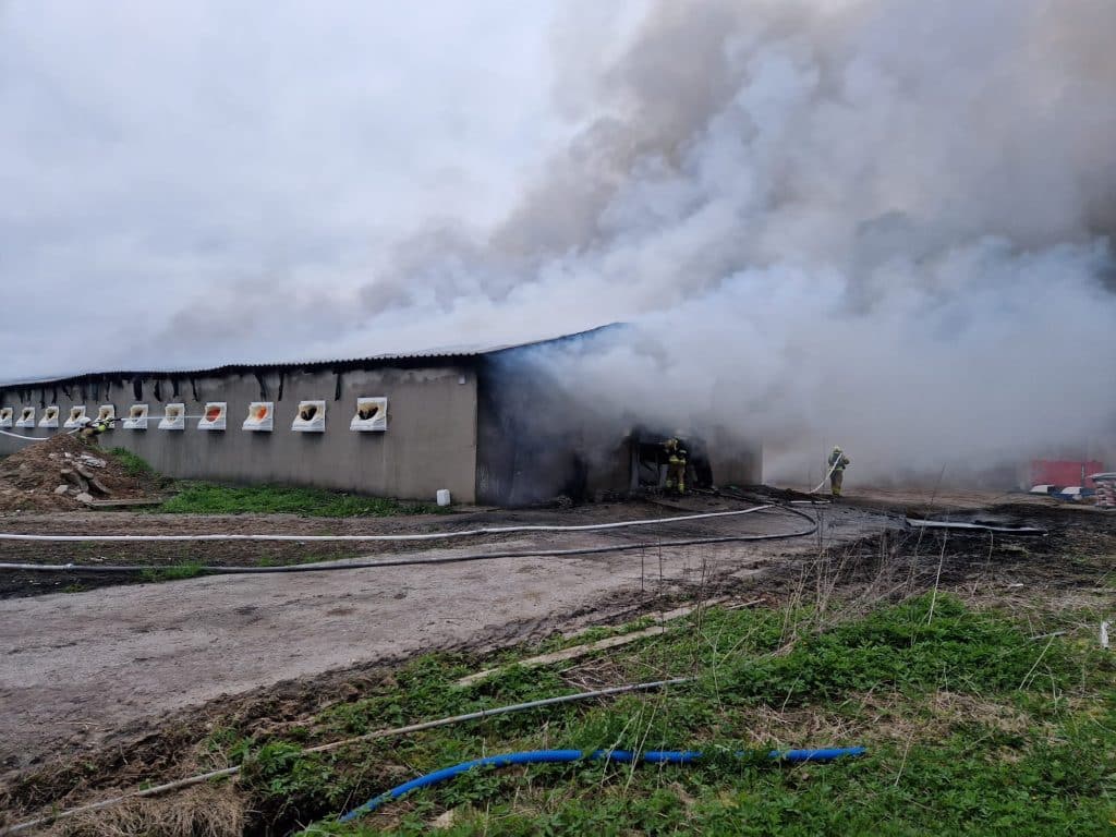 Pożar kurników pod Olsztynem (zdjęcia) straż pożarna Olsztyn, Wiadomości, zShowcase
